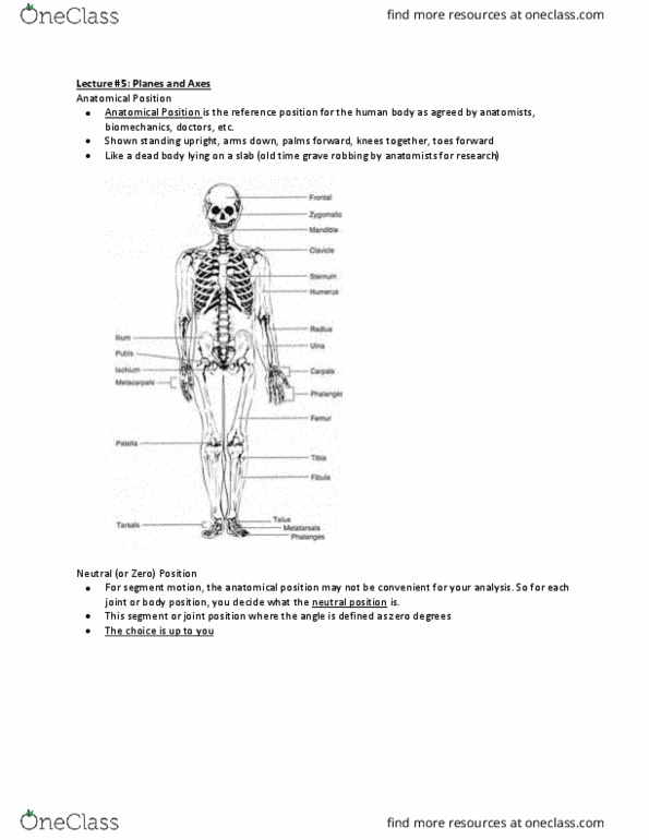 Kinesiology 2241A/B Lecture Notes - Lecture 5: Sagittal Plane, Transverse Plane, Appendicular Skeleton thumbnail