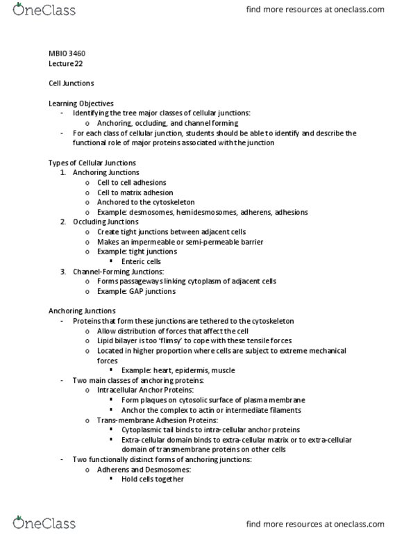 MBIO 3460 Lecture Notes - Lecture 22: Cell Junction, Tight Junction, Lipid Bilayer thumbnail