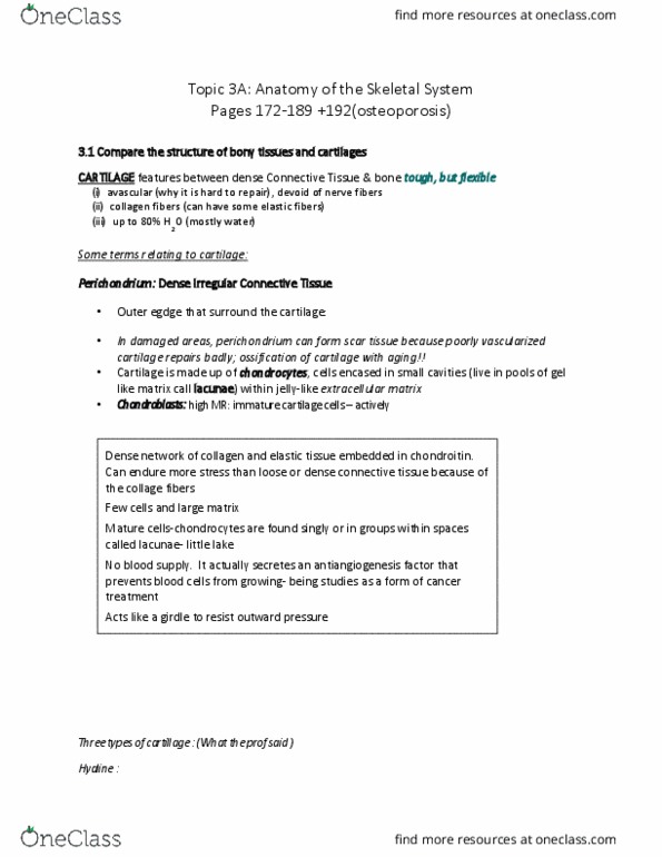 ANP 1106 Lecture Notes - Lecture 3: Dense Irregular Connective Tissue, Pubic Symphysis, Bone Resorption thumbnail