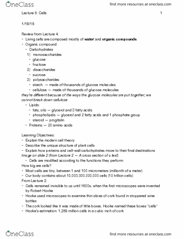 PBIO 1210 Lecture Notes - Lecture 5: Robert Hooke, Optical Microscope, Glycerol thumbnail