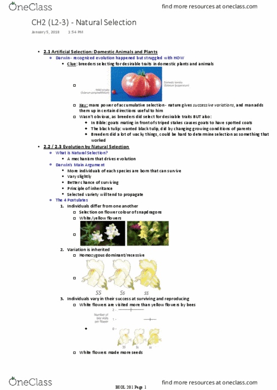 BIOL 201 Lecture Notes - Lecture 2: Medium Ground Finch, Daphne Major, Antirrhinum thumbnail