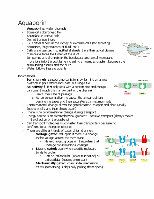 BIOL 2021 Lecture 1: aquaporins thumbnail