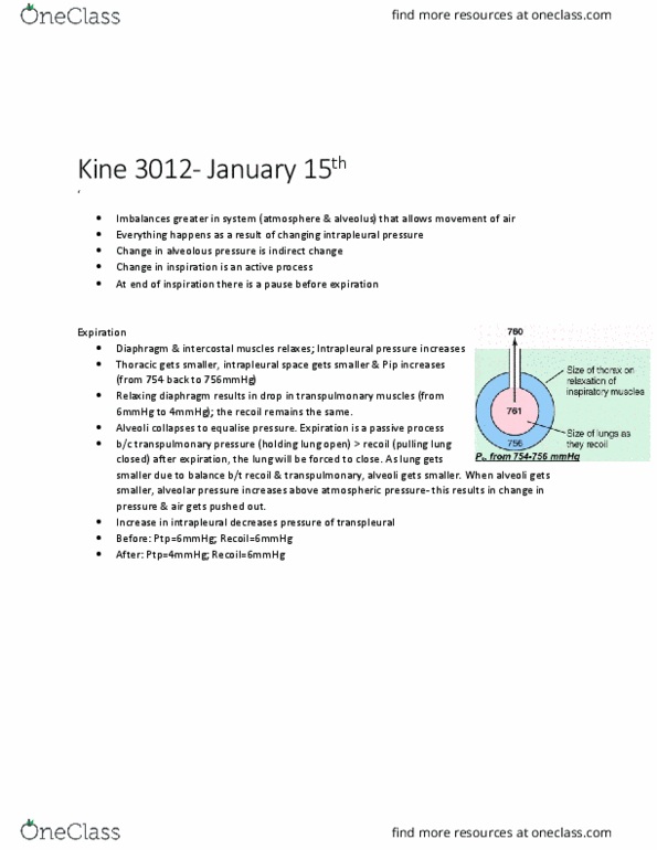 KINE 3012 Lecture Notes - Lecture 3: Transpulmonary Pressure, Intrapleural Pressure, Intercostal Muscle thumbnail