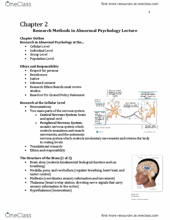 Psychology 2030A/B Lecture Notes - Lecture 2: Substantia Nigra, Subthalamic Nucleus, Parietal Lobe thumbnail
