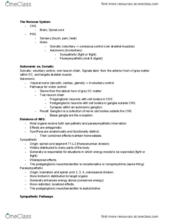 ANAT 215 Lecture Notes - Lecture 9: Autonomic Ganglion, Parasympathetic Nervous System, Basal Ganglia thumbnail