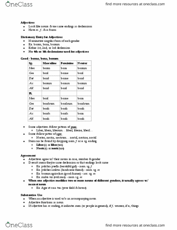 LATN 102 Lecture Notes - Lecture 11: Masculin Féminin, Nominative Case, Ablative Case thumbnail