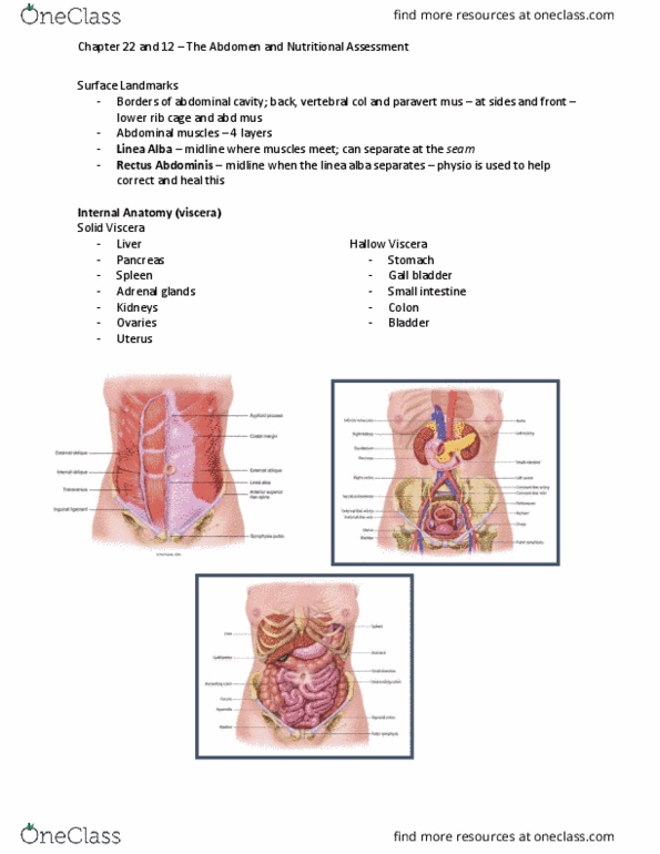 NSG 2317 Lecture Notes - Lecture 12: Statin, Abdominal Distension, Human Body Weight thumbnail