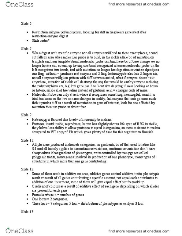 BIO207H5 Lecture Notes - Lecture 11: Wahy, Zygosity, Valine thumbnail