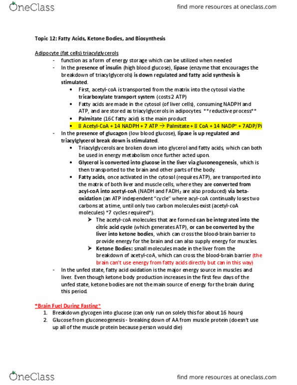 Biochemistry 2280A Lecture Notes - Lecture 12: Blood Sugar, Glycogen, Hmg-Coa Reductase thumbnail