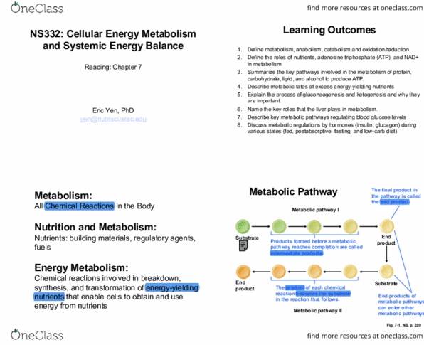 NUTR SCI 332 Lecture 2: Cellular Energy Metabolism thumbnail