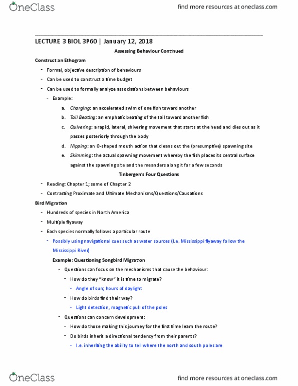 BIOL 3P60 Lecture Notes - Lecture 3: Massachusetts National Guard, Common Dwarf Mongoose, Ethogram thumbnail