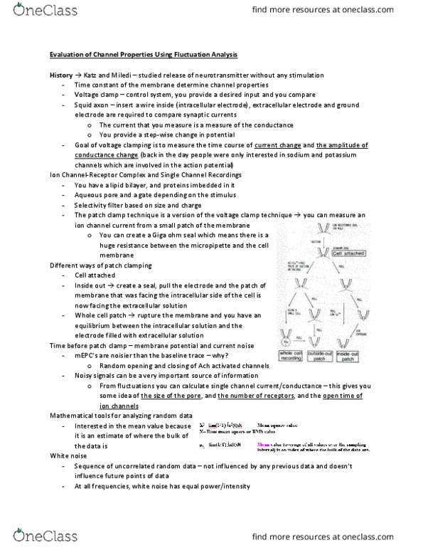 PHGY 425 Lecture Notes - Lecture 12: Band-Pass Filter, Binomial Distribution, Cauchy Distribution thumbnail