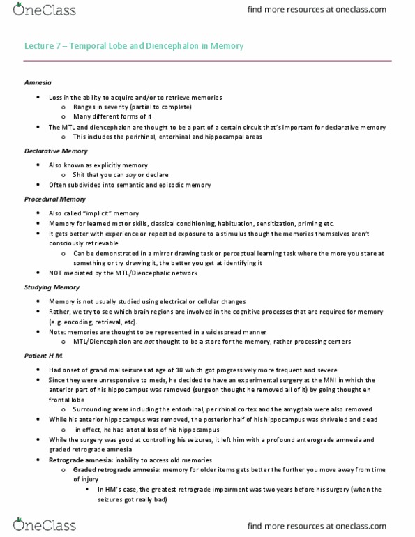 Psychology 3224A/B Lecture Notes - Lecture 7: Echoic Memory, Mammillary Body, Neocortex thumbnail