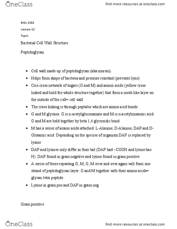 BIOL 3150 Lecture Notes - Lecture 12: Glycosidic Bond, Gram-Negative Bacteria, Glycan thumbnail
