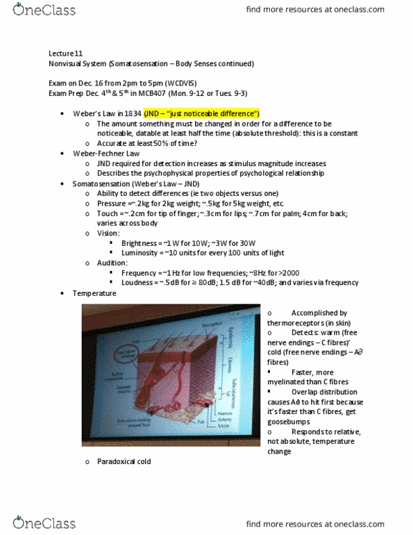 PSYC 2P35 Lecture Notes - Lecture 11: Tylenol (Brand), Enkephalin, Interrupt thumbnail