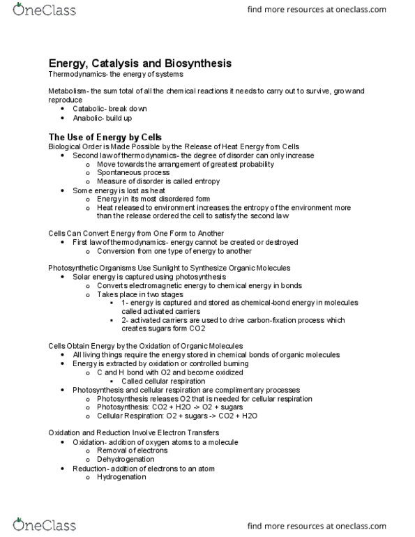 MBB 201 Lecture Notes - Lecture 5: Atp Hydrolysis, Enzyme Kinetics, Hydrolysis thumbnail