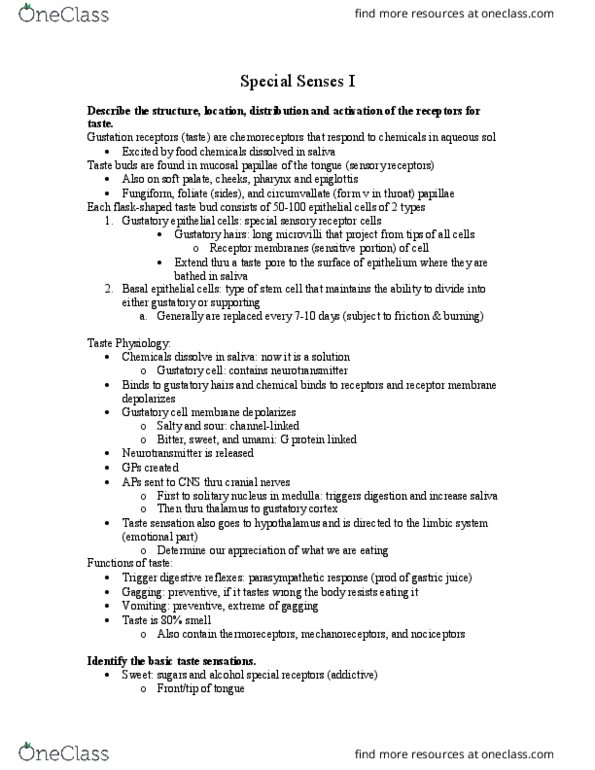 BIOL-2220 Lecture Notes - Lecture 4: Basilar Membrane, Endolymph, Anterior Chamber Of Eyeball thumbnail