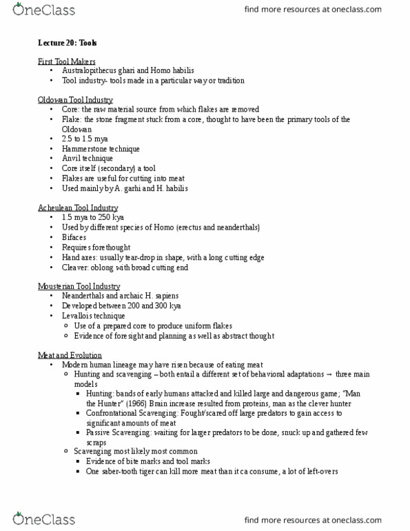 ANTH 101 Lecture Notes - Lecture 20: Types Of Volcanic Eruptions, Archaic Humans, Smilodon thumbnail