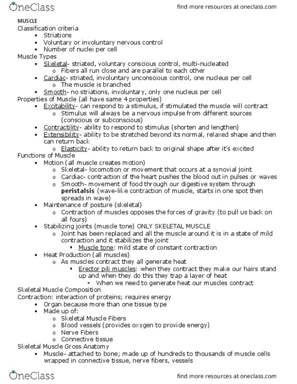 BIOL-2220 Lecture Notes - Lecture 3: Troponin T, Myofilament, Hemoglobin thumbnail