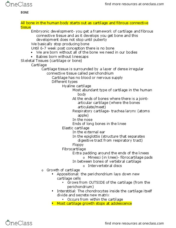 BIOL-2220 Lecture Notes - Lecture 2: Osteon, Bone Density, Hydroxylapatite thumbnail