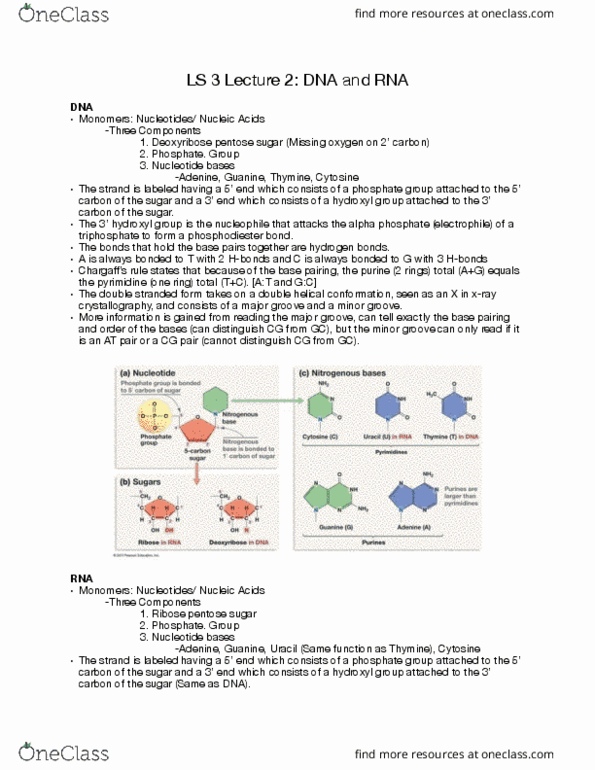 LIFESCI 3 Lecture Notes - Lecture 2: Messenger Rna, Transfer Rna, X-Ray Crystallography thumbnail