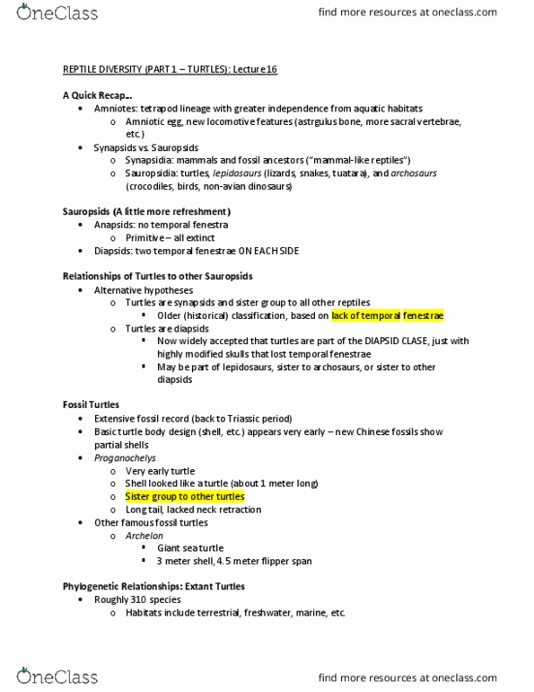 BIOL-3030 Lecture Notes - Lecture 16: Cloaca, North Atlantic Gyre, Herbivore thumbnail