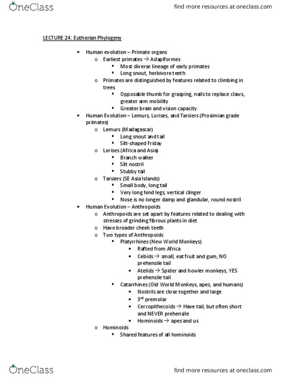 BIOL-3030 Lecture Notes - Lecture 24: Pelvis, Foramen Magnum, Hypoglossal Nerve thumbnail