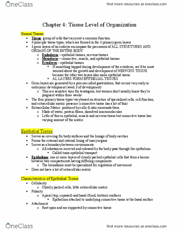 BIOL-3150 Chapter Notes - Chapter 4: Intermediate Filament, Hyperplasia, Synovial Fluid thumbnail