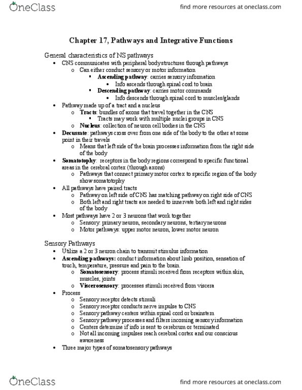 BIOL-3150 Chapter Notes - Chapter 17: Cranial Nerves, Grey Matter, Diencephalon thumbnail