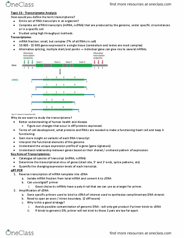BPS 4101 Lecture Notes - Lecture 12: Taqman, Myf5, Reference Genome thumbnail