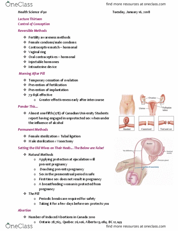 HLSC 1F90 Lecture Notes - Lecture 13: Philtrum, In Vitro Fertilisation, Radiography thumbnail