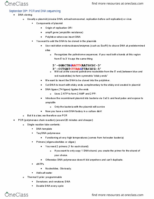 BIOL 200 Lecture Notes - Lecture 5: Dideoxynucleotide, Taq Polymerase, Molecular Cloning thumbnail