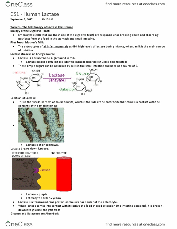 BIO 3122 Lecture Notes - Lecture 1: Lactose Intolerance, Biogeography, Advantageous thumbnail