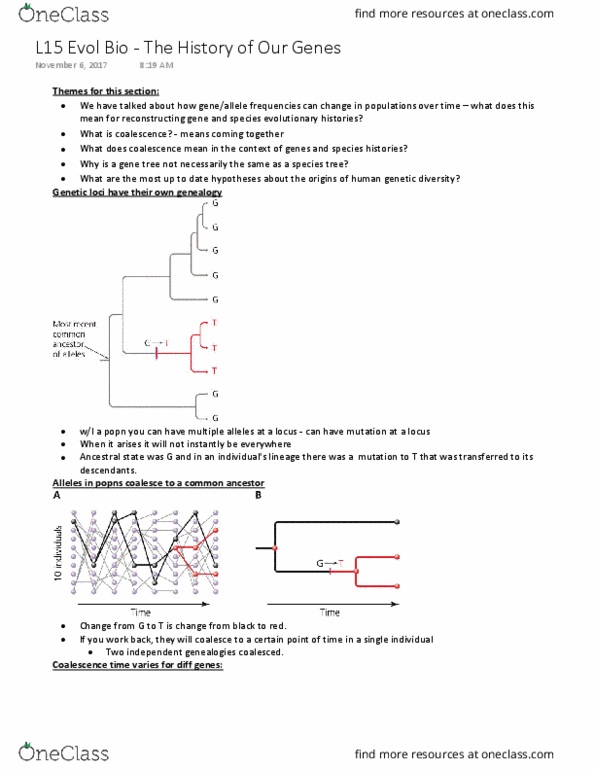 BIO 3122 Lecture Notes - Lecture 15: Maximum Likelihood Estimation, Noncoding Dna, Molecular Evolution thumbnail