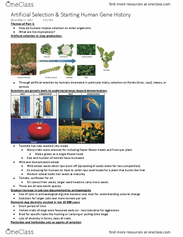 BIO 3122 Lecture Notes - Lecture 13: Genetically Modified Maize, Sepsis, Housefly thumbnail