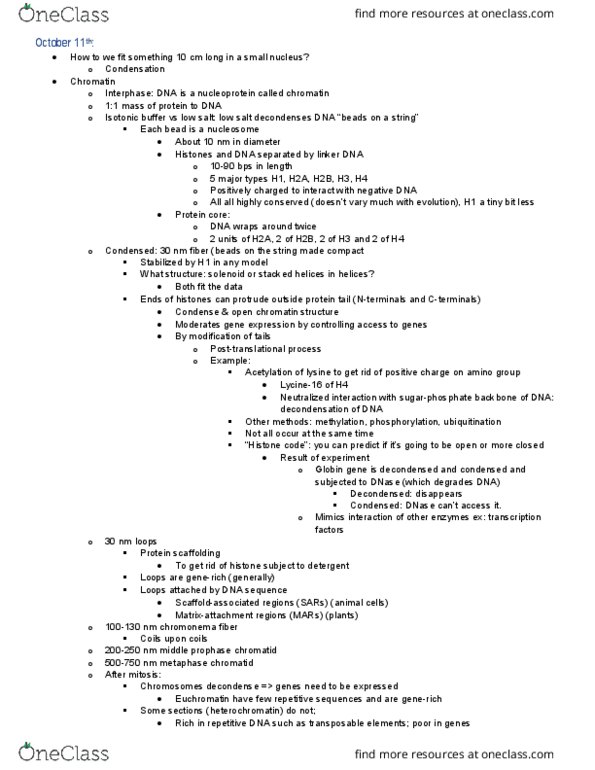 BIOL 200 Lecture Notes - Lecture 11: Dna Replication, Okazaki Fragments, Ribonucleoprotein thumbnail