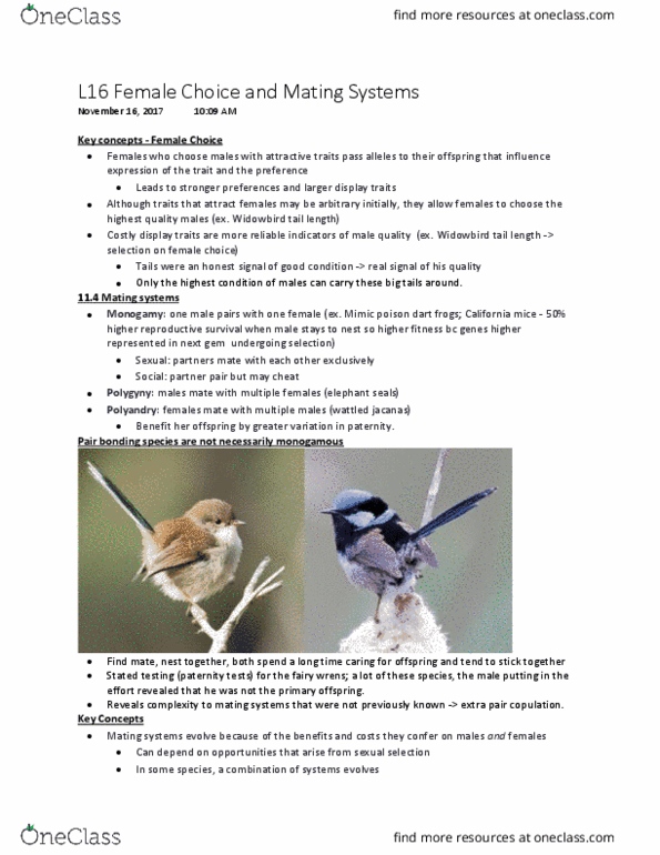 BIO 3122 Lecture Notes - Lecture 16: Natural Selection, Parental Investment, Life History Theory thumbnail