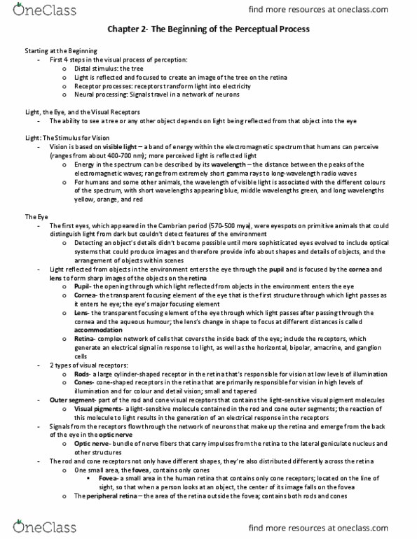 PSYCO367 Chapter Notes - Chapter 2: Purkinje Effect, Visual Cortex, Monochromacy thumbnail