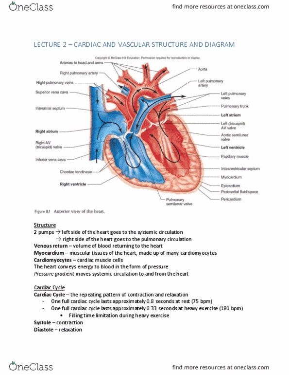 KIN 105 Lecture Notes - Lecture 2: Exercise Intensity, Vasodilation, Extracellular Fluid thumbnail