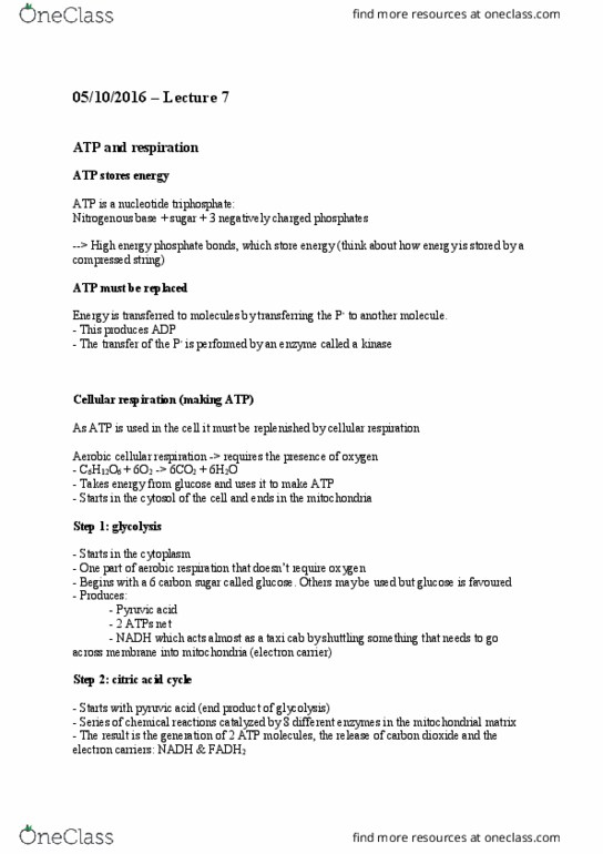 BIOL 115 Lecture Notes - Lecture 7: Ice Core, Gastrointestinal Perforation, Chlorophyll thumbnail