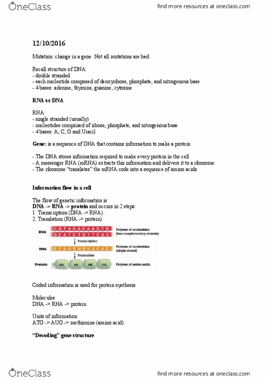 BIOL 115 Lecture Notes - Lecture 9: Centromere, University Of Manchester, Frameshift Mutation thumbnail