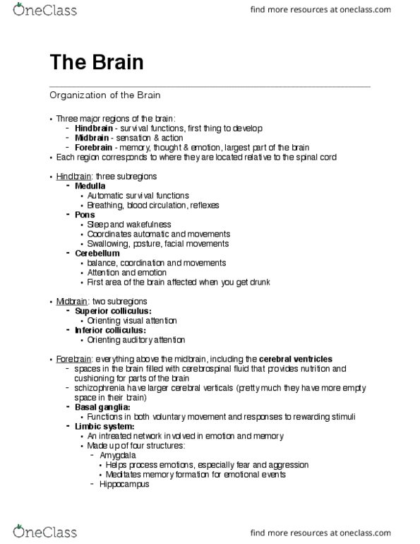 PSYC 1000 Lecture Notes - Lecture 5: Visual Cortex, Primary Motor Cortex, Positron Emission Tomography thumbnail