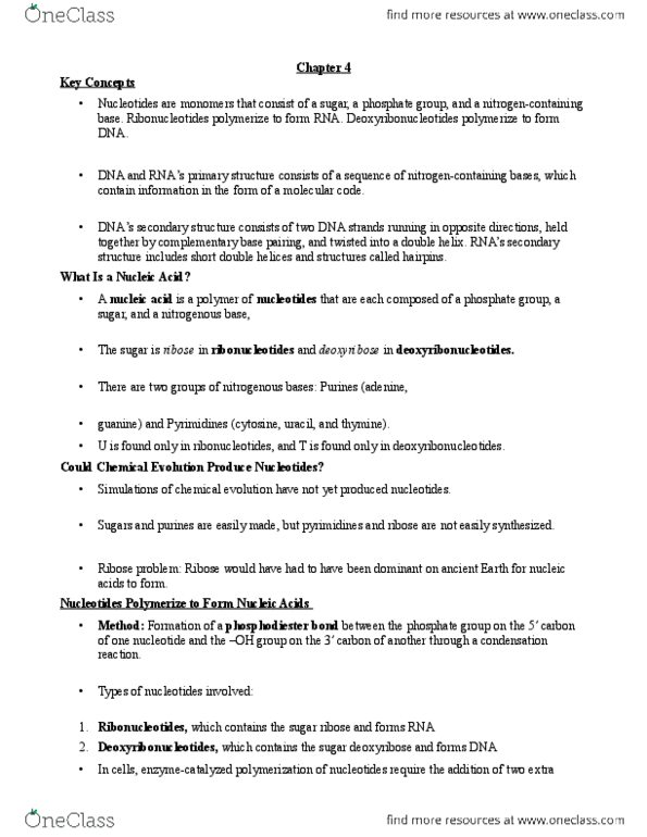 BIO152H5 Chapter Notes - Chapter 4: Erwin Chargaff, Phosphodiester Bond, Ribose thumbnail