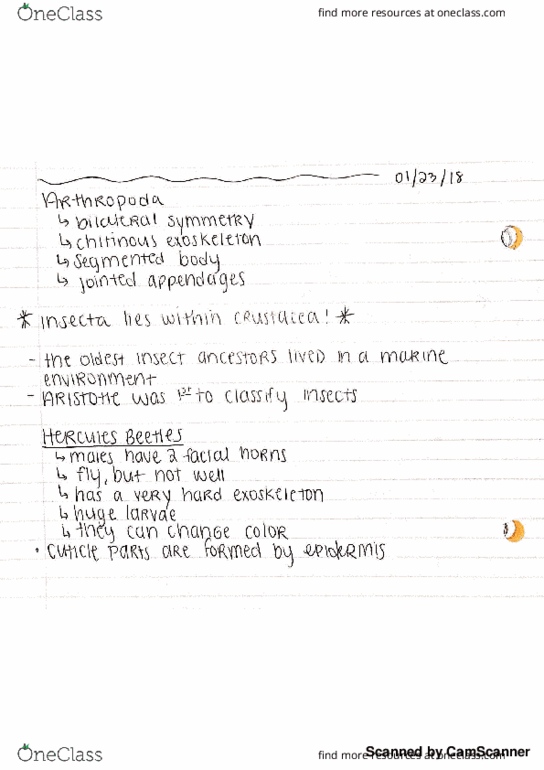 ENT 201 Lecture Notes - Lecture 4: T-Cell Receptor thumbnail