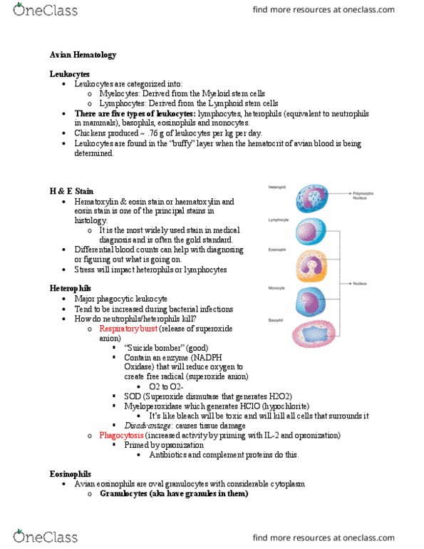 POUL 3000 Lecture Notes - Lecture 2: Sinusitis, Antigen, Antigen Presentation thumbnail