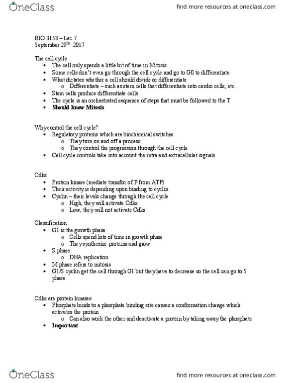 BIO 3153 Lecture Notes - Lecture 7: Phosphorylation, Cdc20, Ubiquitin Ligase thumbnail