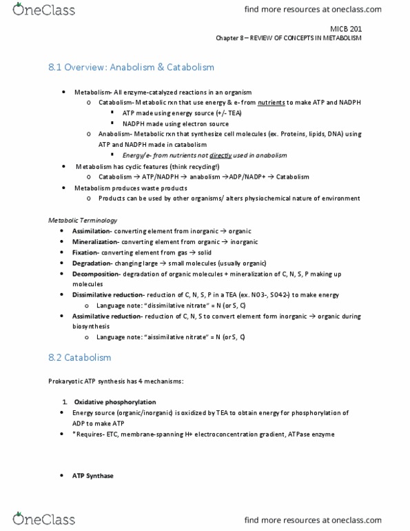 MICB 201 Chapter Notes - Chapter 8: Chemotroph, Macromolecule, Protozoa thumbnail