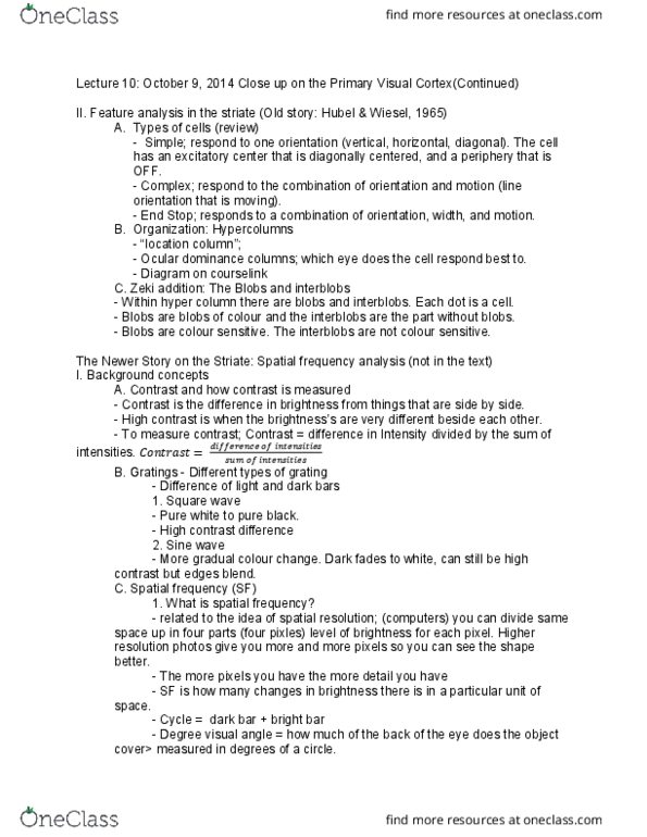 PSYC 2390 Lecture Notes - Lecture 10: Fourier Analysis, Temporal Lobe, Fast Fourier Transform thumbnail