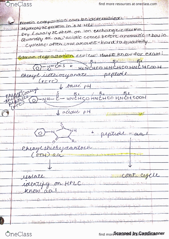 BIOCHM 383 Lecture 13: Protein Composition, Edman Degradation, Chapter 7: Myoglobin & Hemoglobin thumbnail