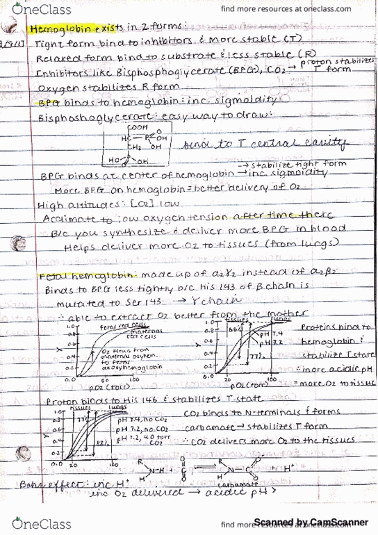 BIOCHM 383 Lecture 15: Two Forms of Hemoglobin, BPG Binding, Altitude Change, Fetal Hemoglobin, Bohr Effect, Concerted vs Symmetrical Allosterism, Sickle Cell Anemia, Chapter 8: Enzyme Kinetics thumbnail